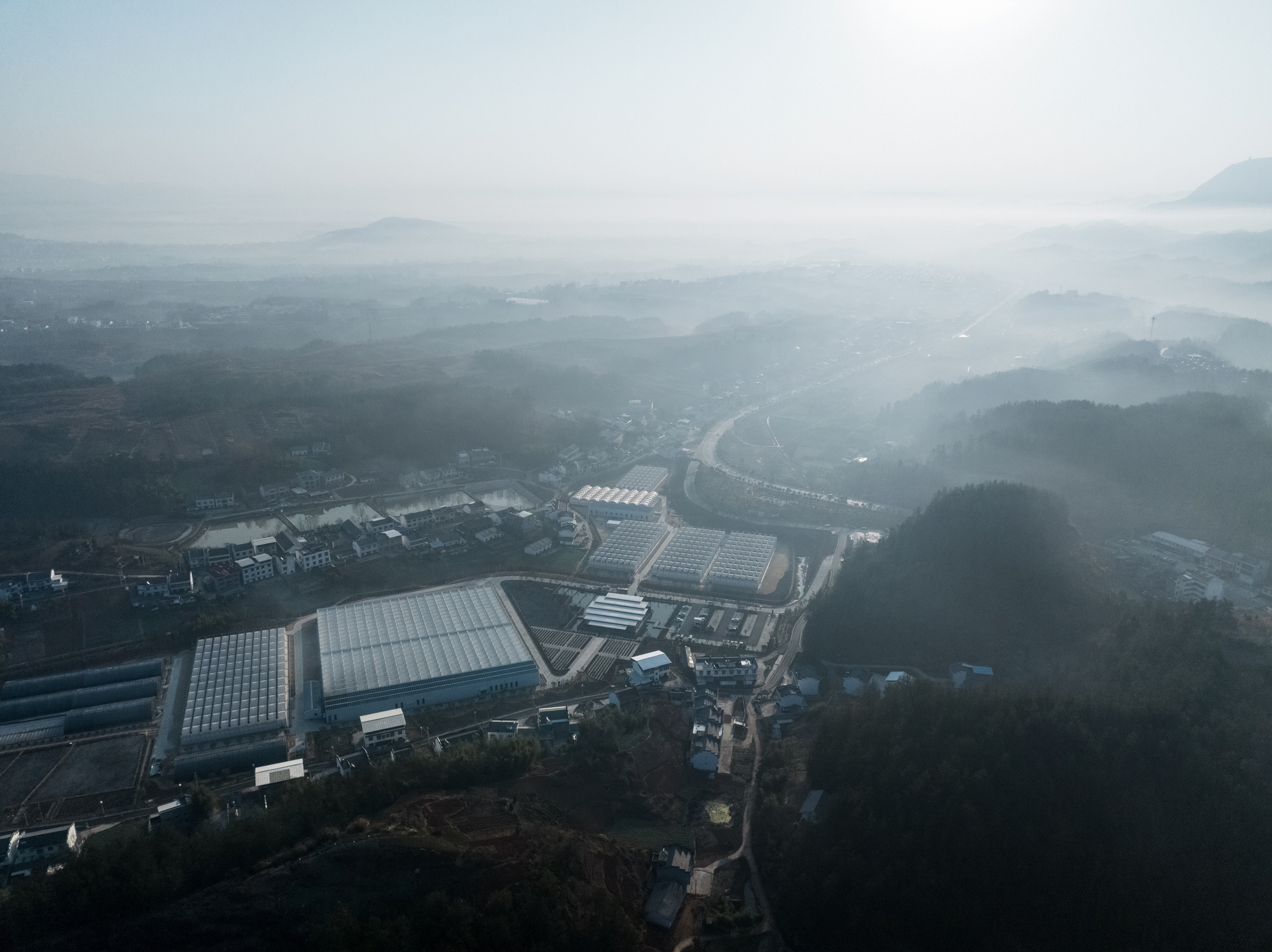 五福龙井农产品展览中心丨中国湖北丨Describing Architecture Studio-38