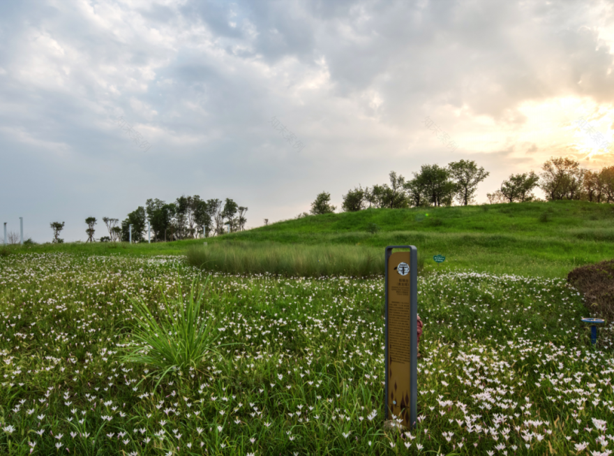 成都青龙农场,一粒种子的奇迹丨中国成都丨柏熙标识-108