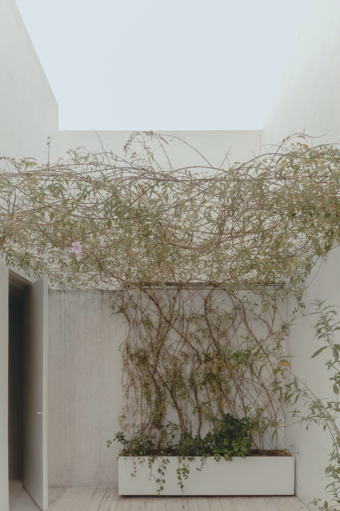 Antonio Solá公寓楼，墨西哥 / Módica Ledezma-46