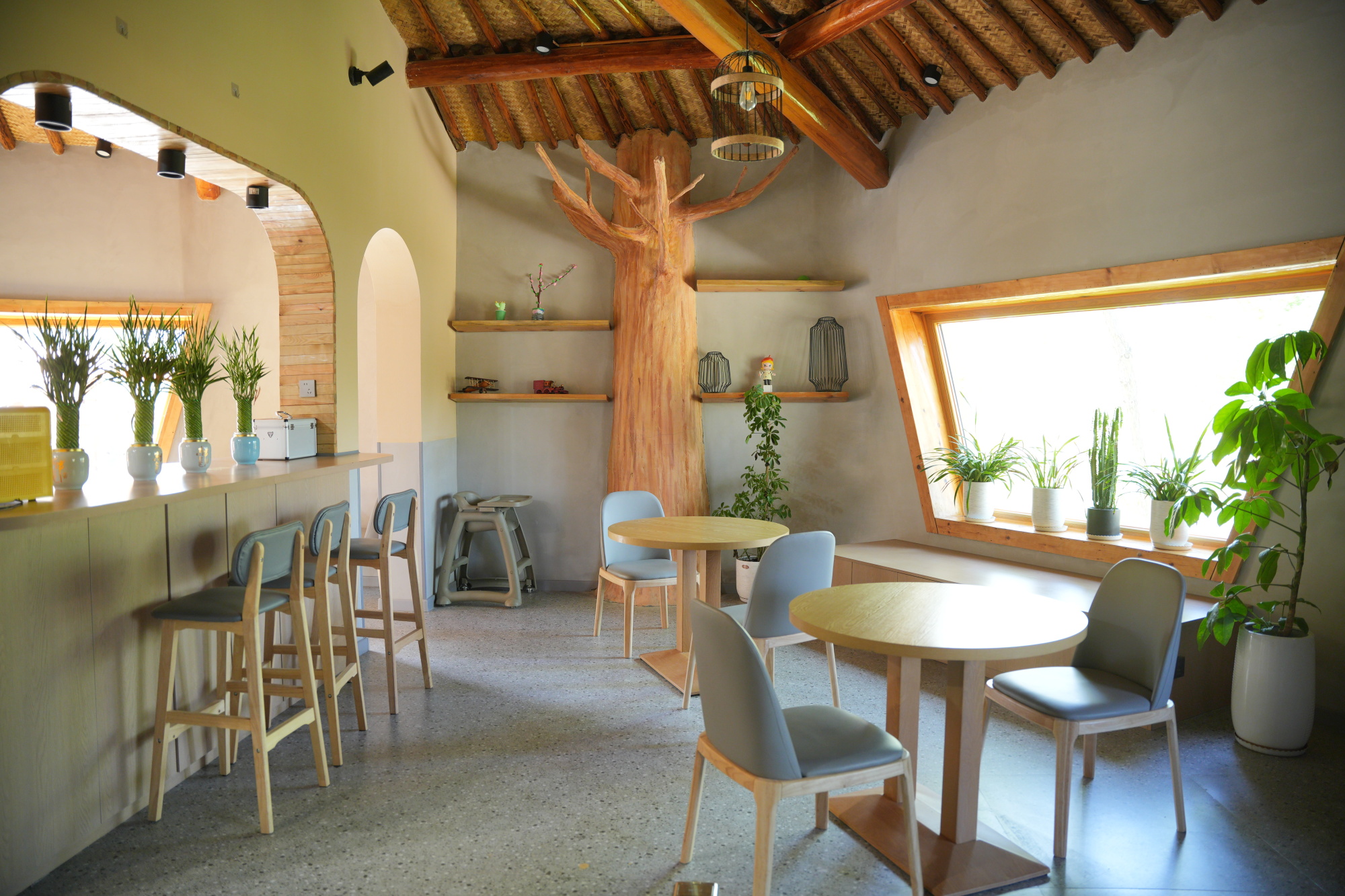 宁夏银川兰多多亲自然乐园丨中国银川丨阿普贝思UP+S-88