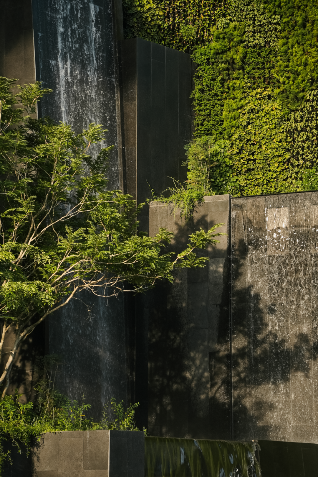 山岚褶皱处的寂静生长|阿那亚三亚景观秘境诗学-213