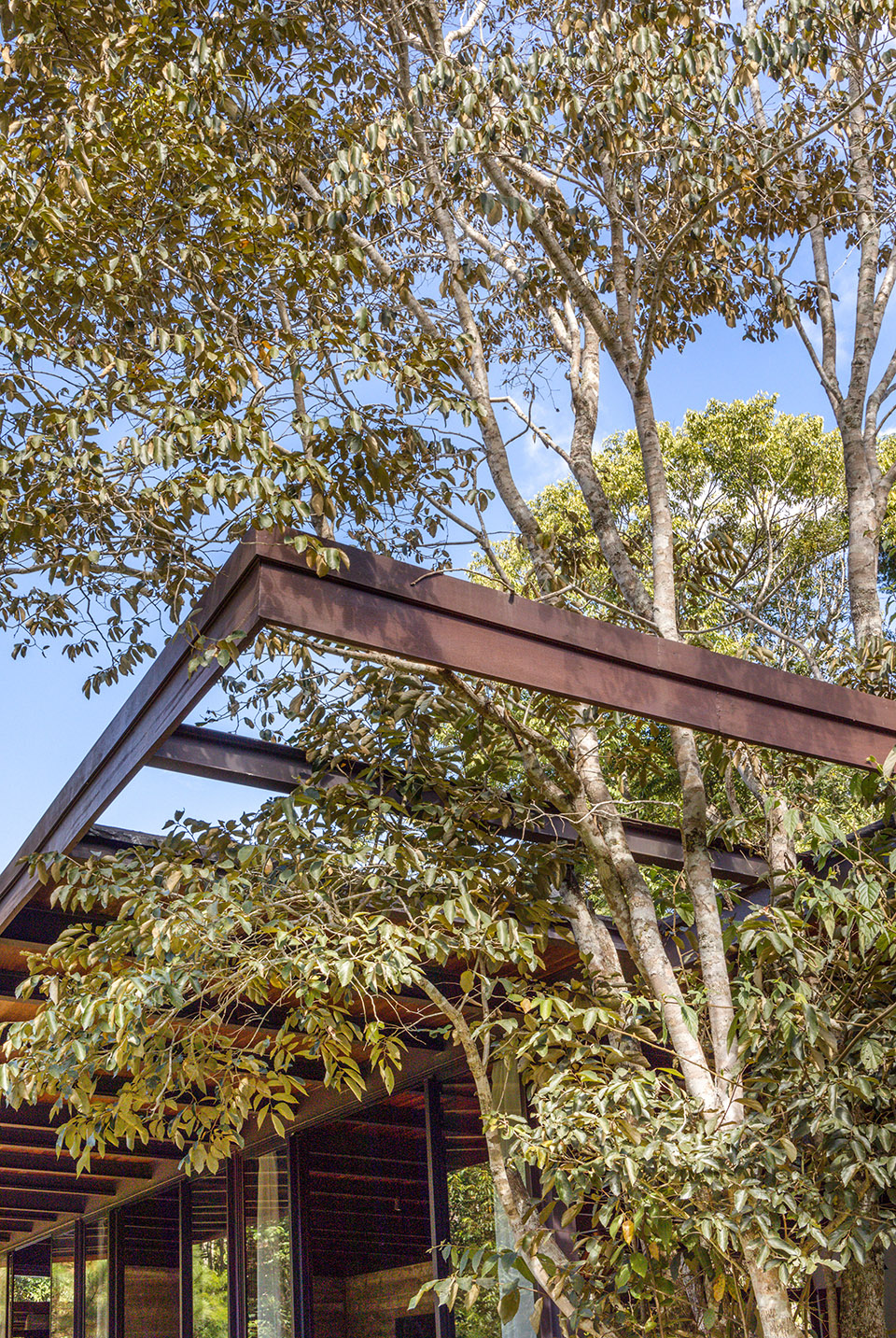 Videiras山谷中的住宅，巴西 / Rodrigo Simão Arquitetura-56