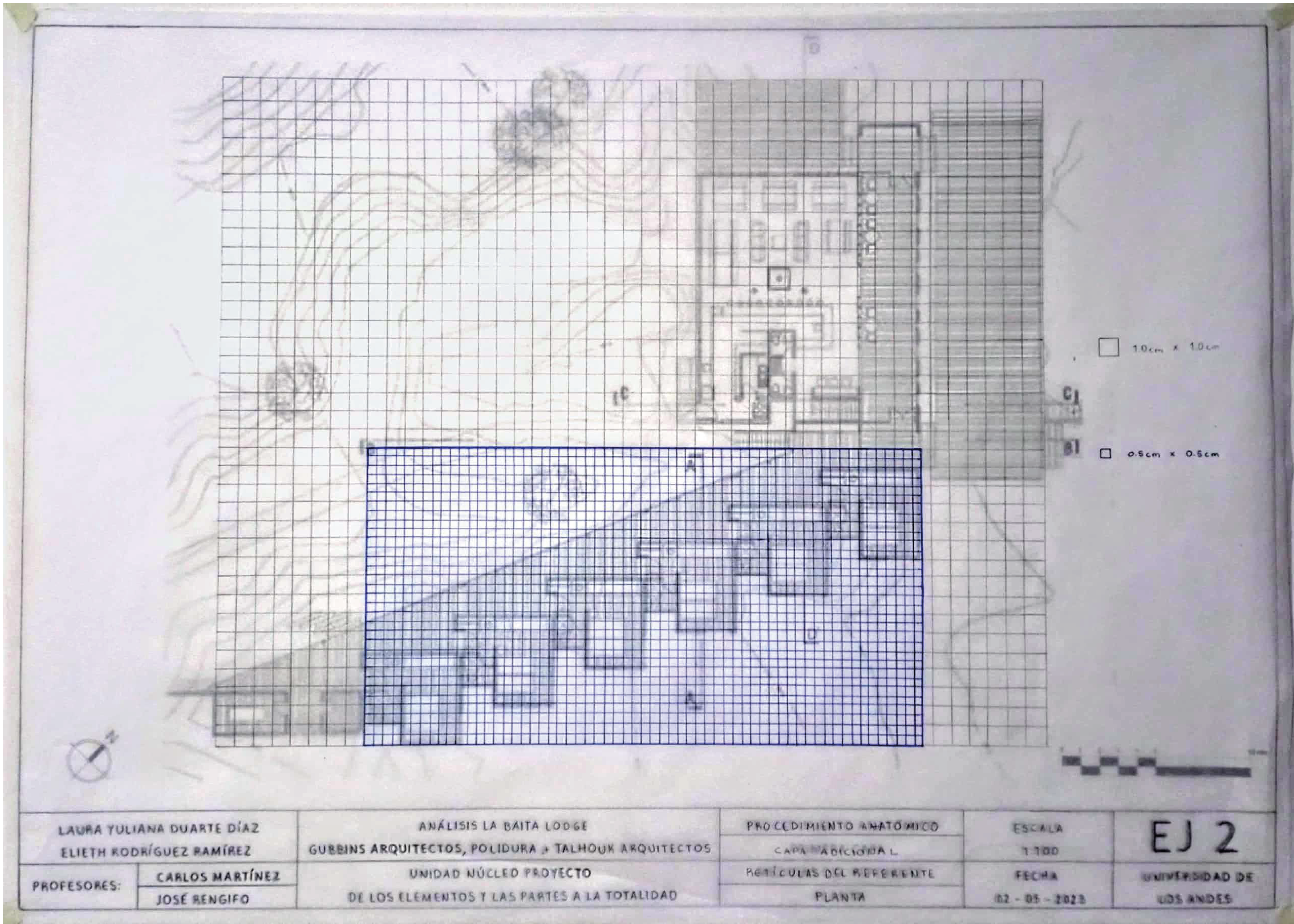 ARQT 2101 - Procedimiento anatómico 2-6