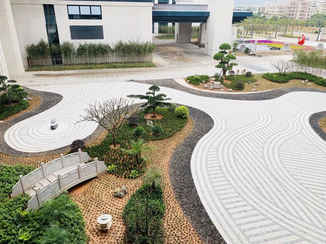 速度与激情的碰撞 | 从“速度坪山”到“绿色坪山”-27