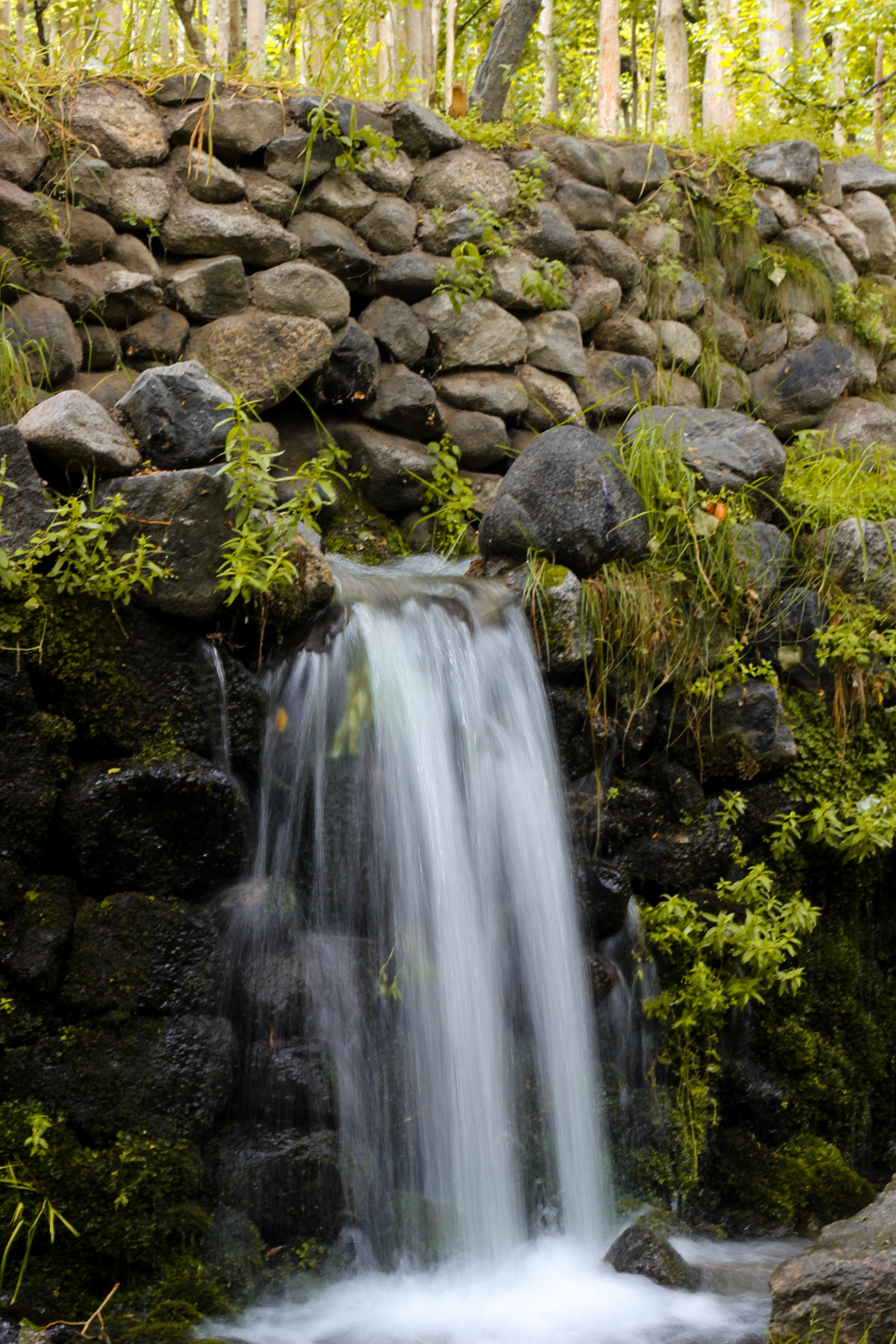 Nature Photography-2