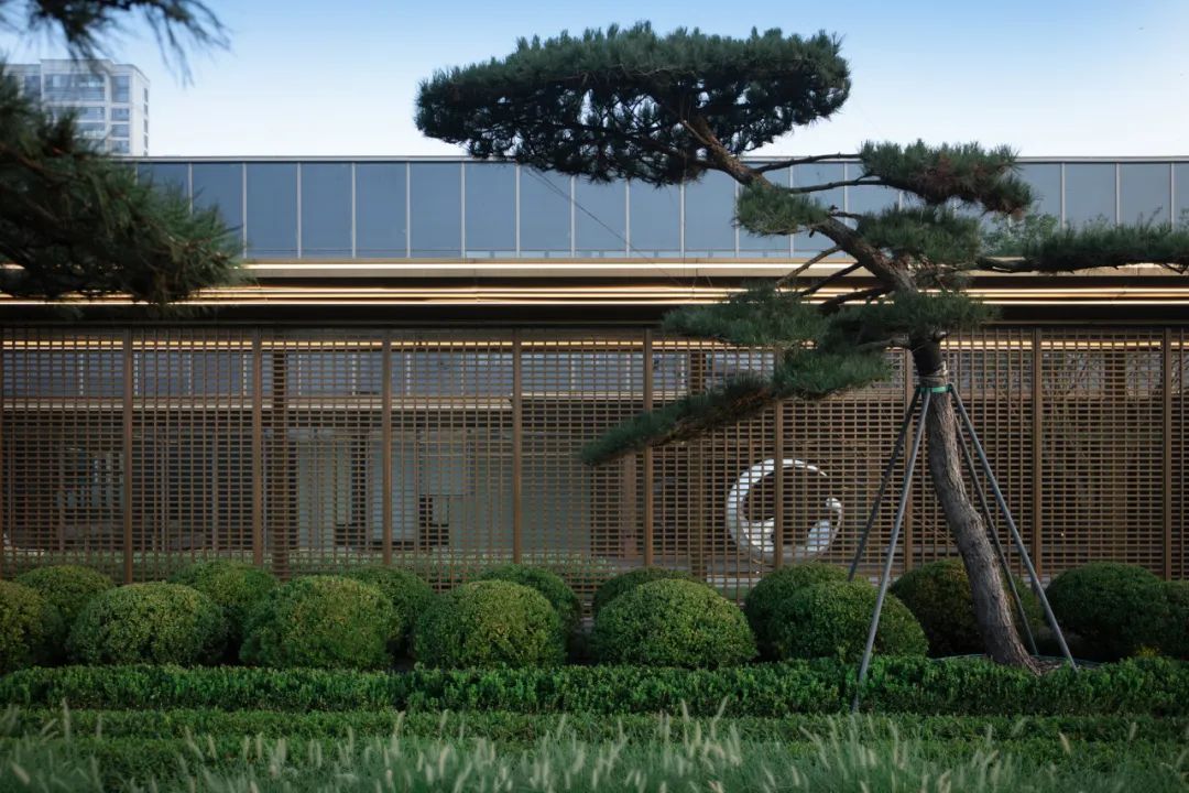 和熙碧影迎明月 | 绿城·沁香园-10