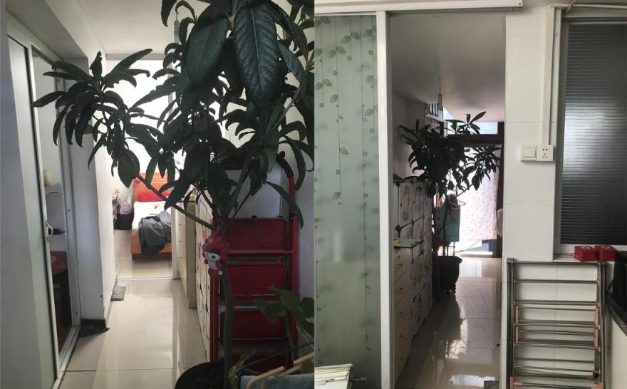 23平米胡同小平房改造丨中国北京-16