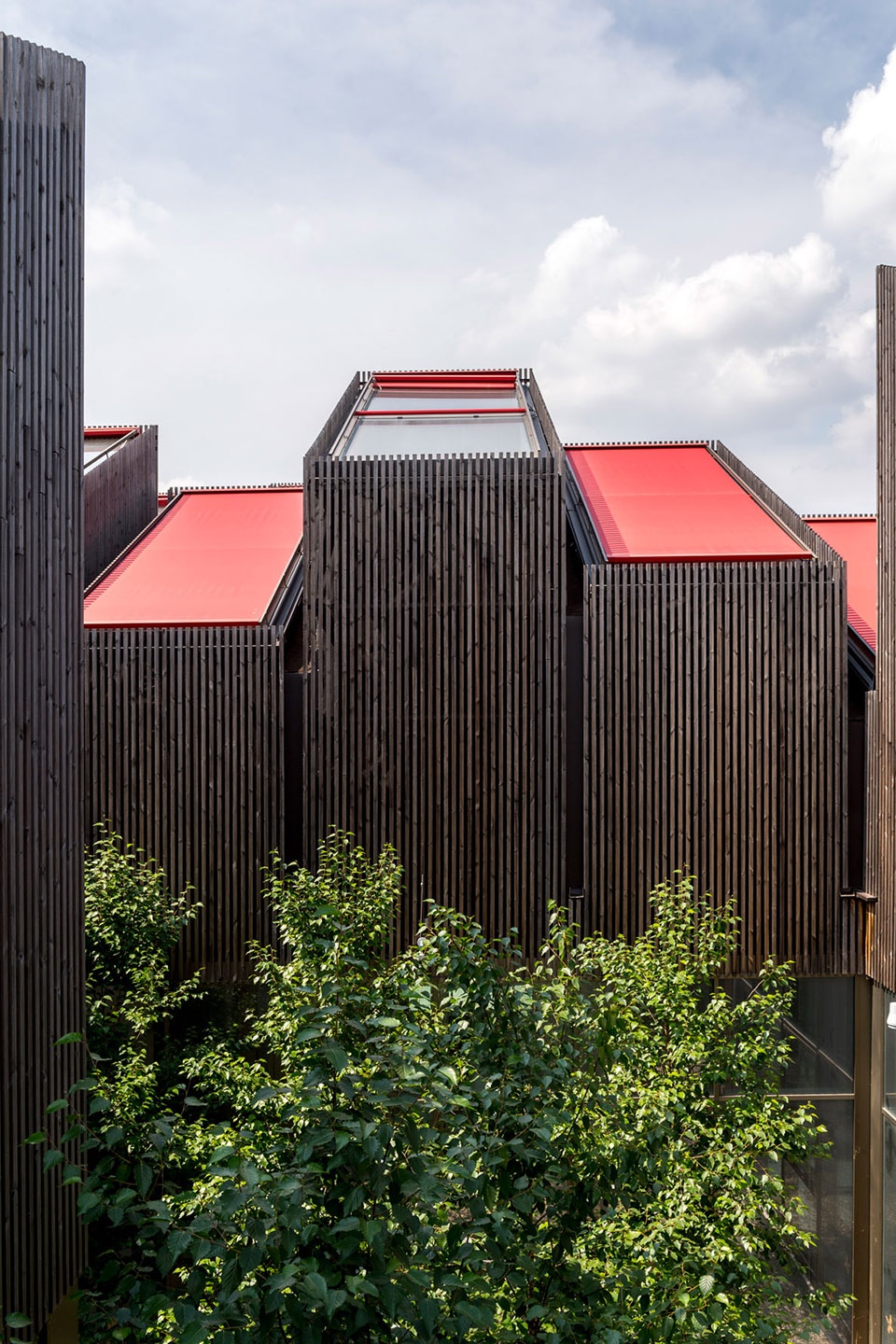 艾米利亚罗马涅大区环境能源局 · 可持续公共建筑的典范-37