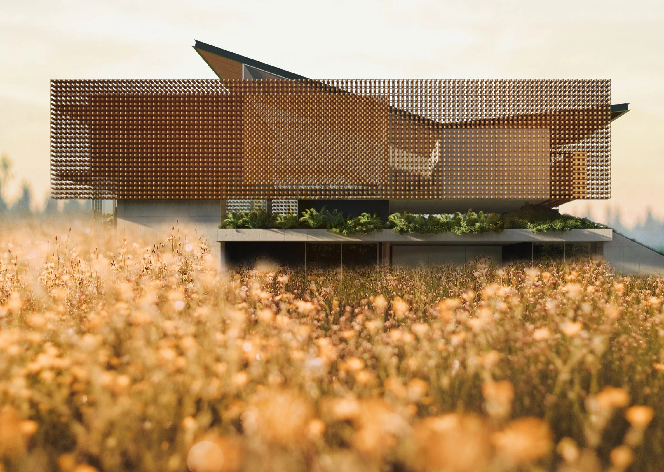 巴西 Aerada House丨巴西圣保罗丨Tetro Arquitetura e Engenharia-13