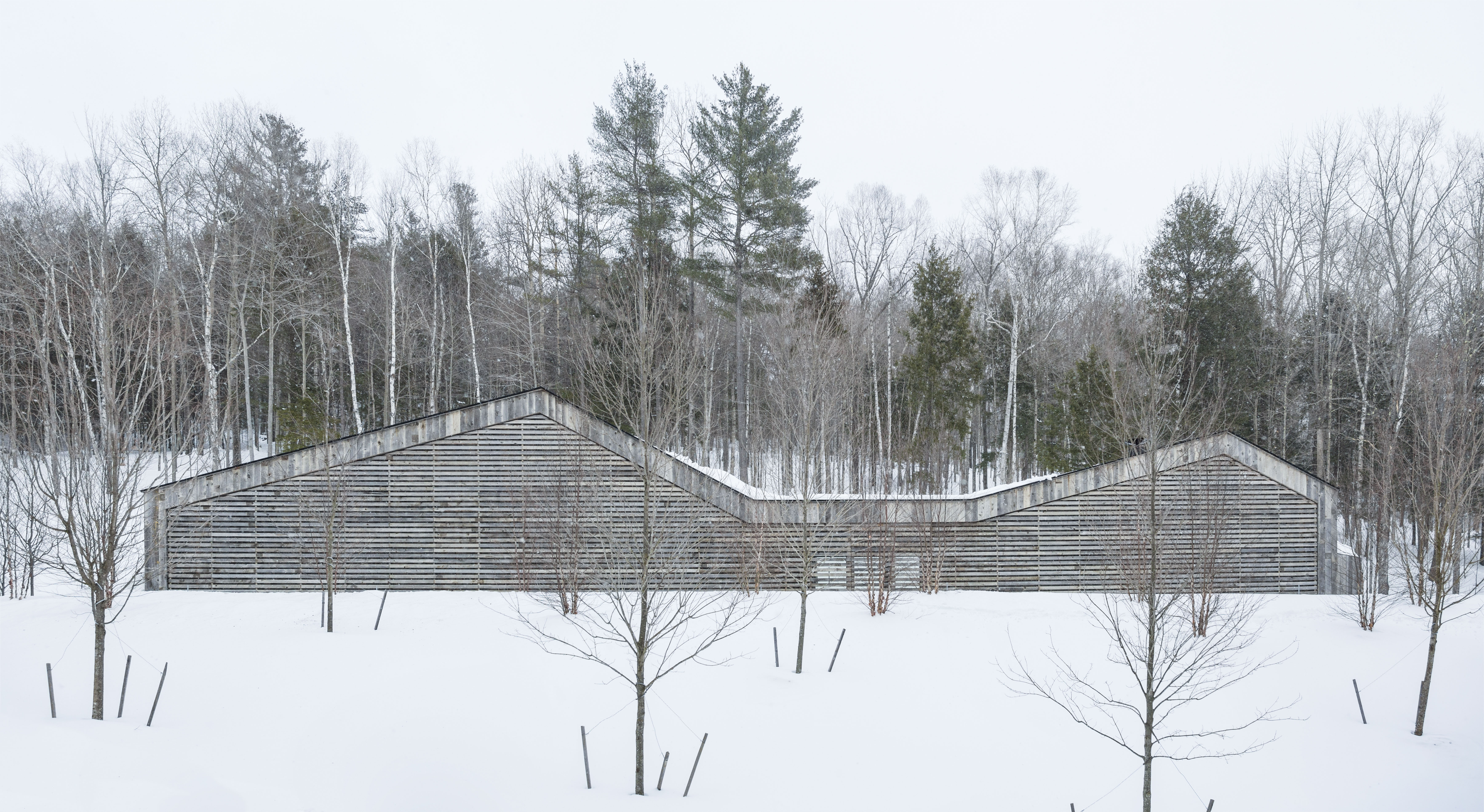 Woodshed | Birdseye-12