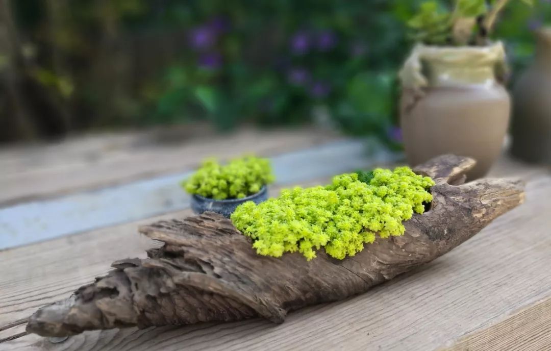 本木露台 | 自然浪漫的休闲空间-31