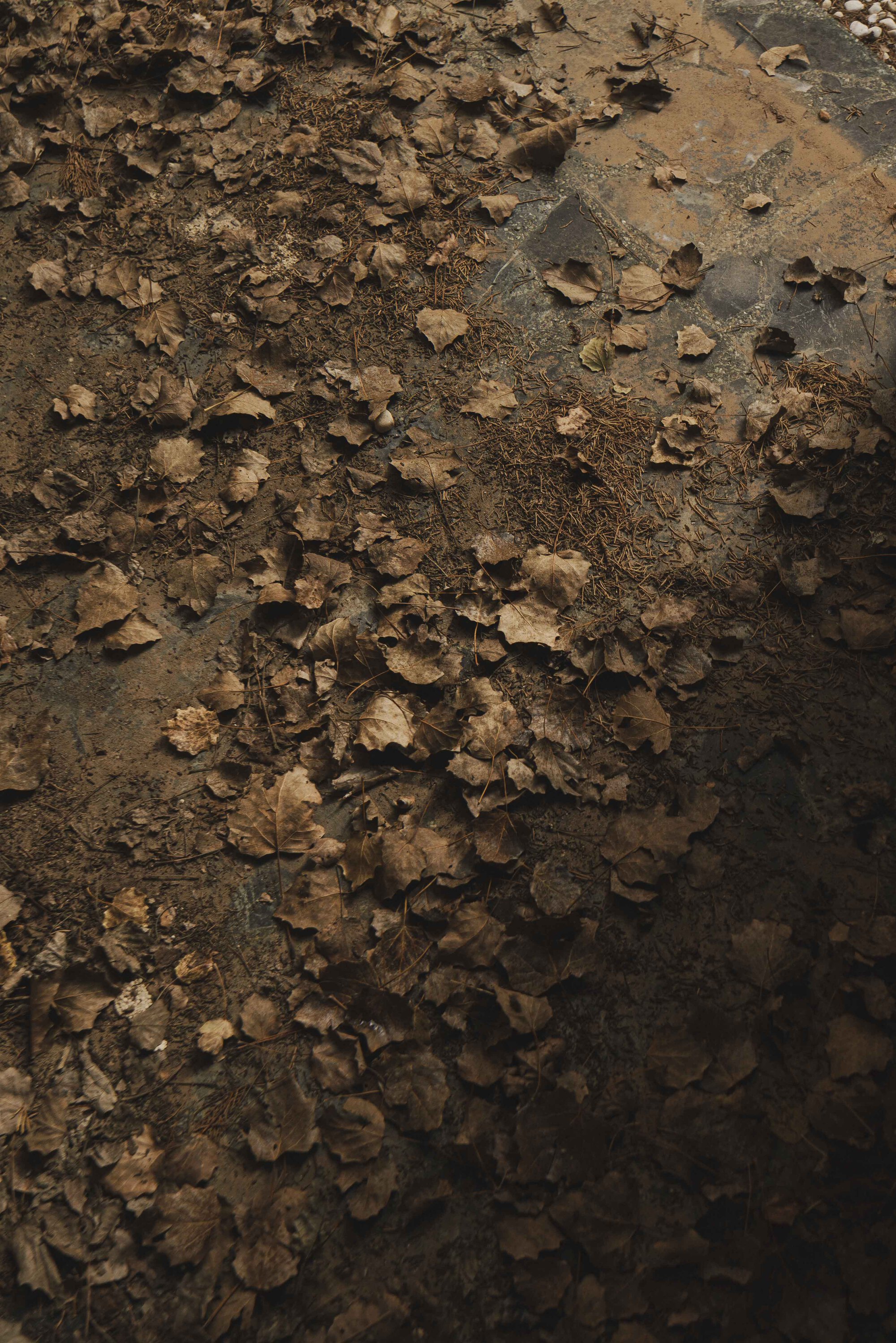 雷凯纳万神殿丨西班牙丨Belen Ilarri Studio-18