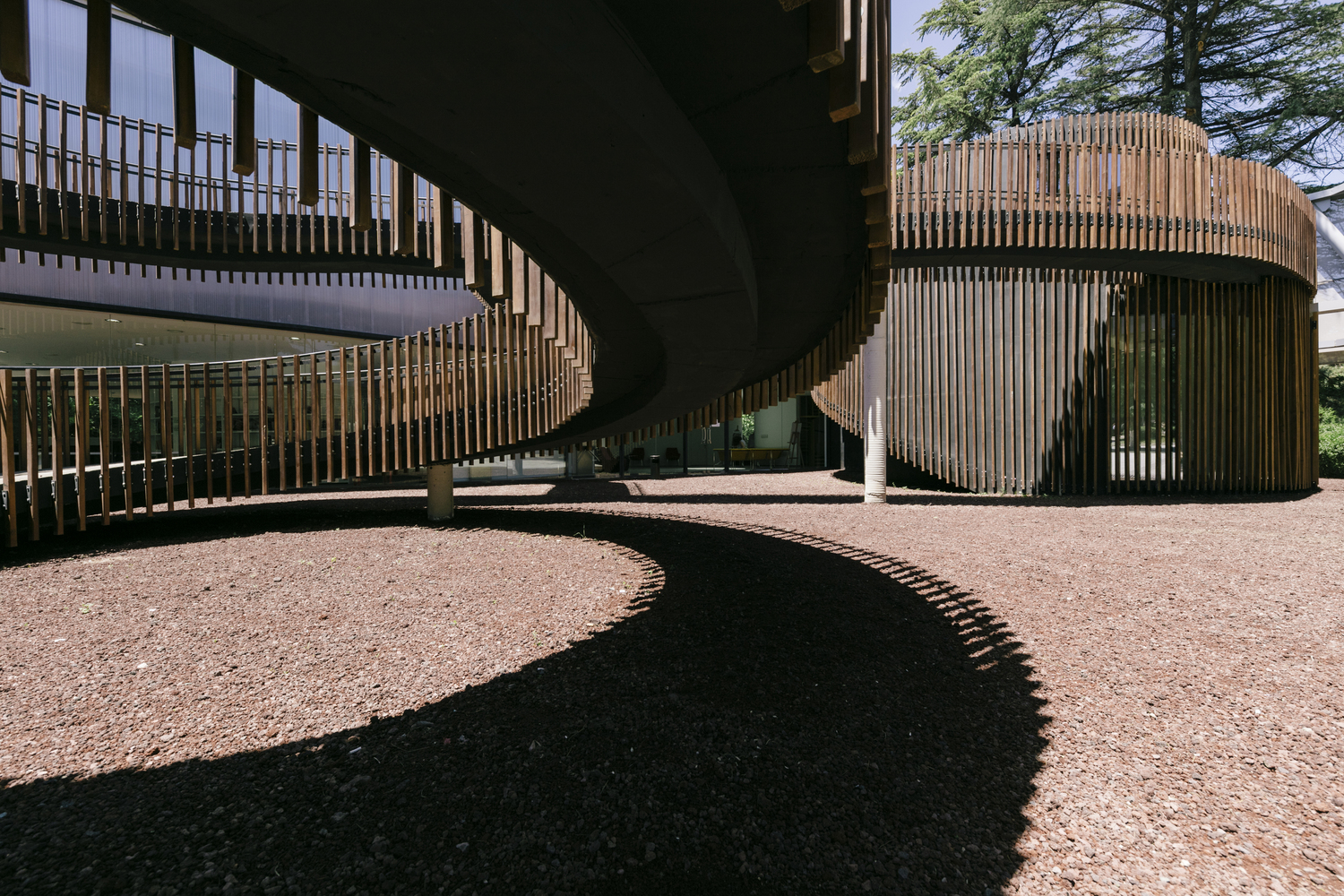 格鲁吉亚第比利斯公园中的蓝庭多媒体图书馆-53