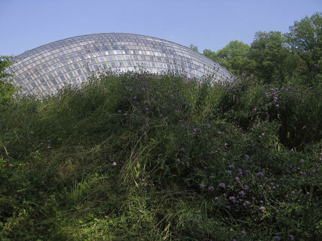 比利时瓦隆林业部-51