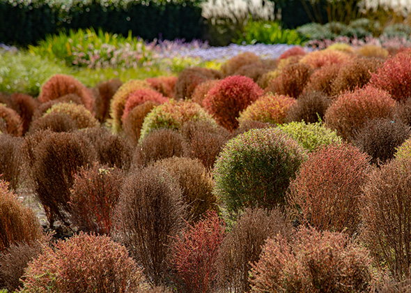 上海天辰生命科技城花香花园丨中国上海丨L&A设计集团上海分公司花香仙境团队及第三项目团队-12