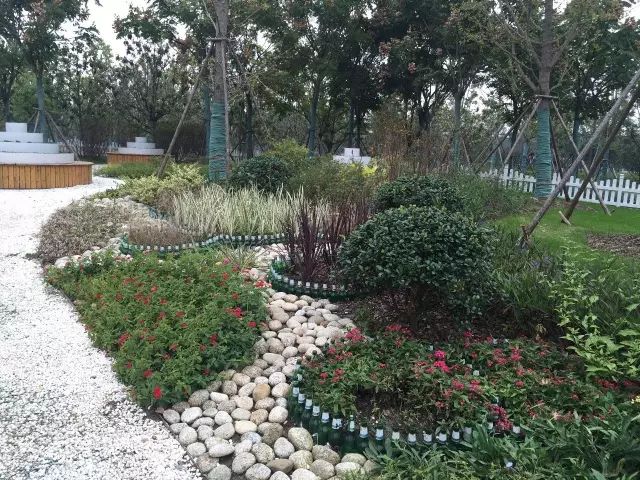 庭院花境中的土壤覆盖物设计与应用-20