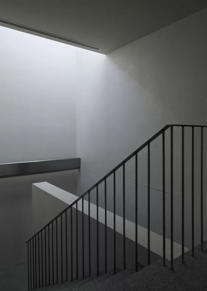 Davidov Architects | 住宅与公共概念的融合-33