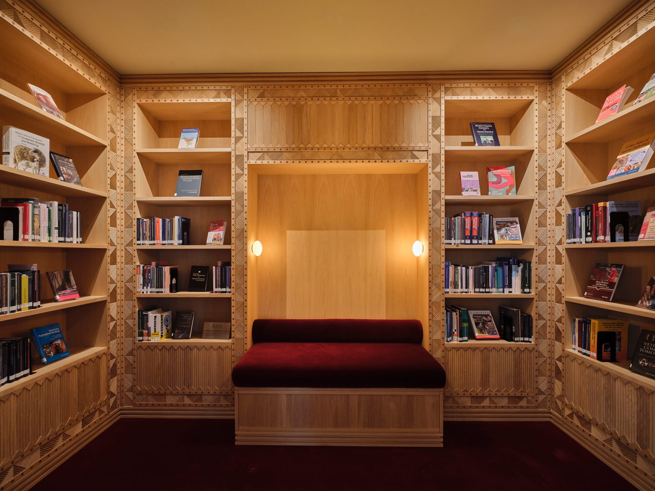 阿布扎比马术图书馆和马鞍工坊设计丨阿联酋阿布扎比丨david,nicolas-27