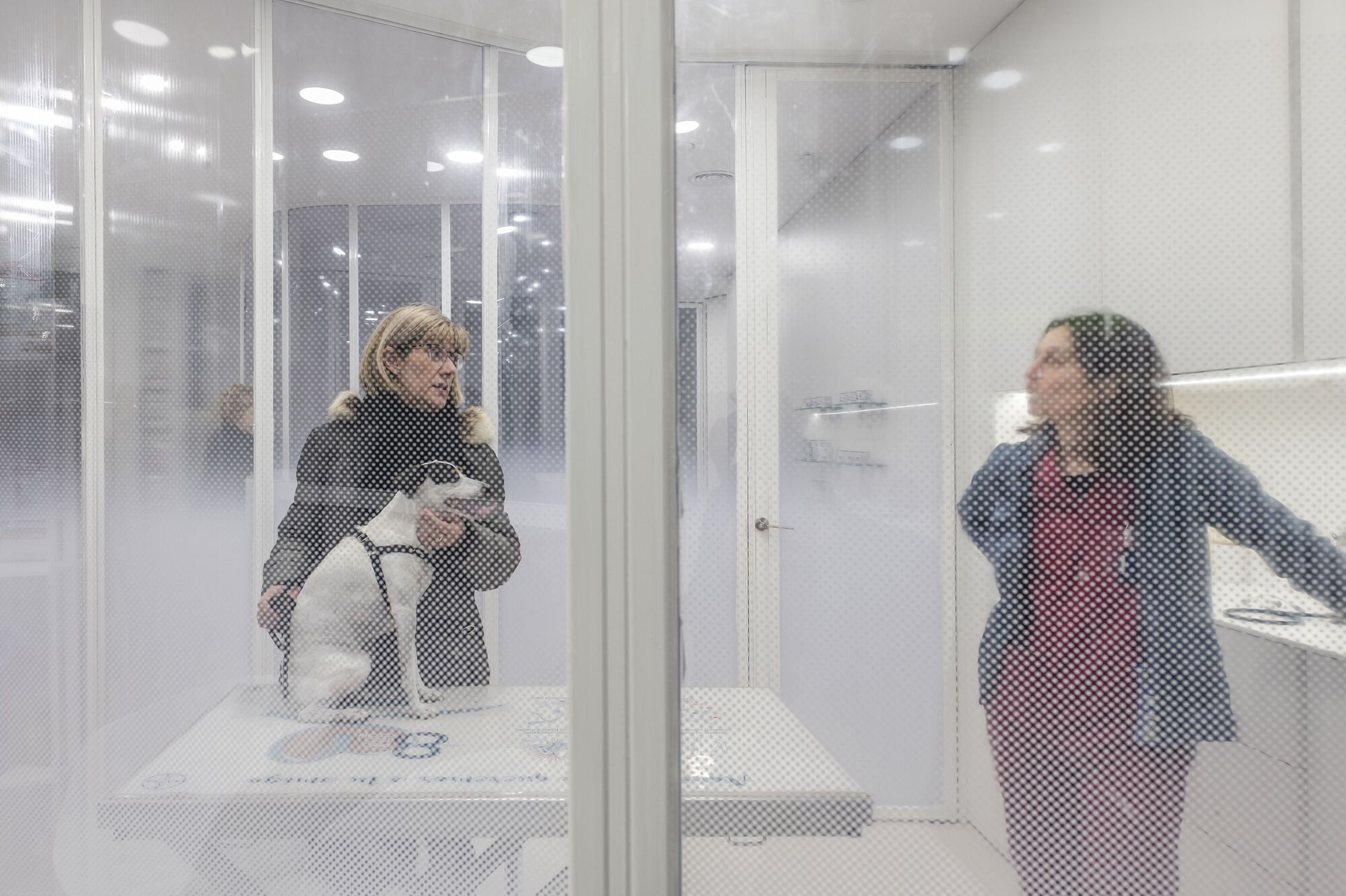 Rosvet 兽医诊所丨西班牙丨VIDA Arquitectura-20