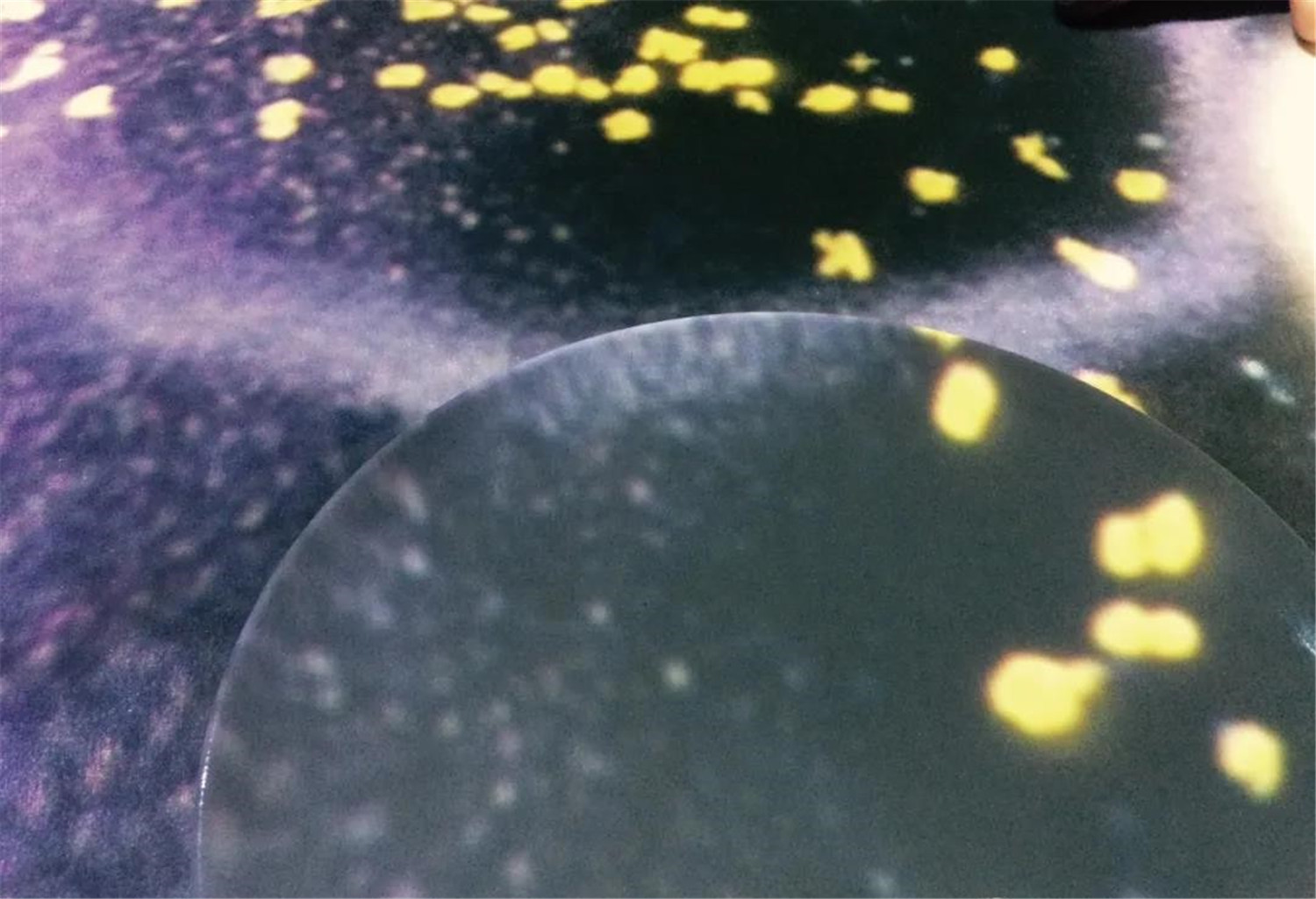 北京便宜坊沉浸式餐厅丨上海光塔多媒体科技有限公司-17