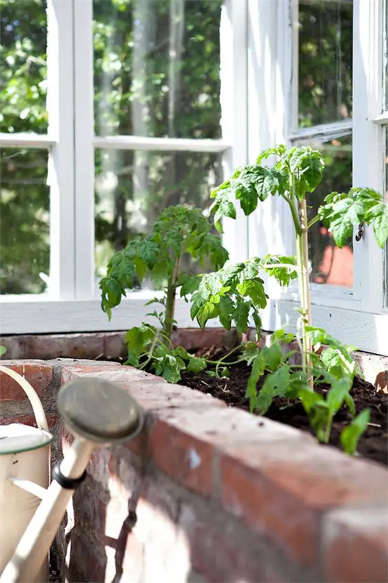 四季之窗 | 打造随季节变化的窗台装饰-9