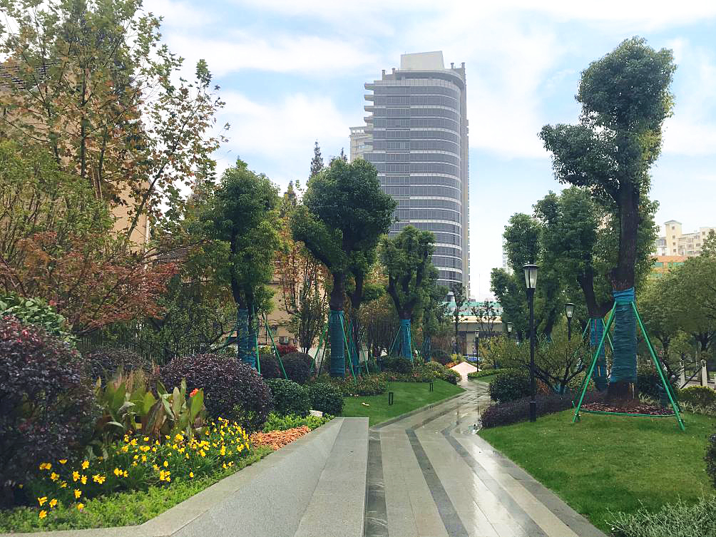 颜值爆表！长宁区有一处街心花园建成开放-3