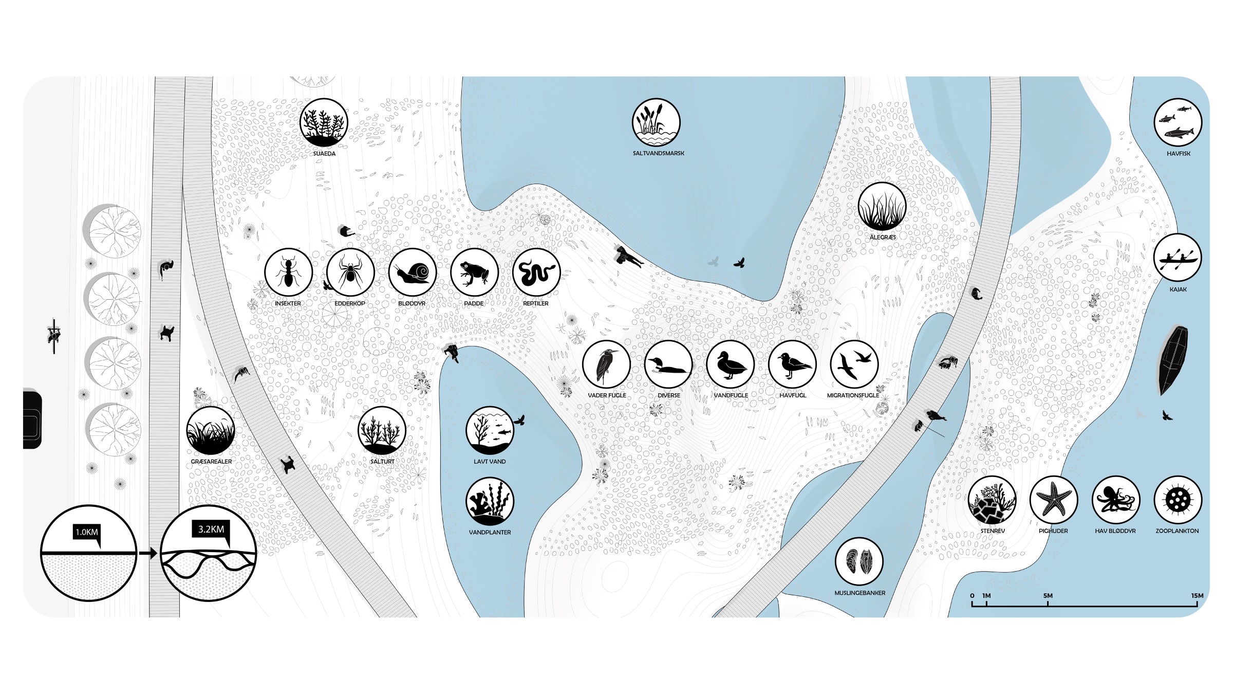 未来公园 · 沿海小径的防洪策略与生态修复-18