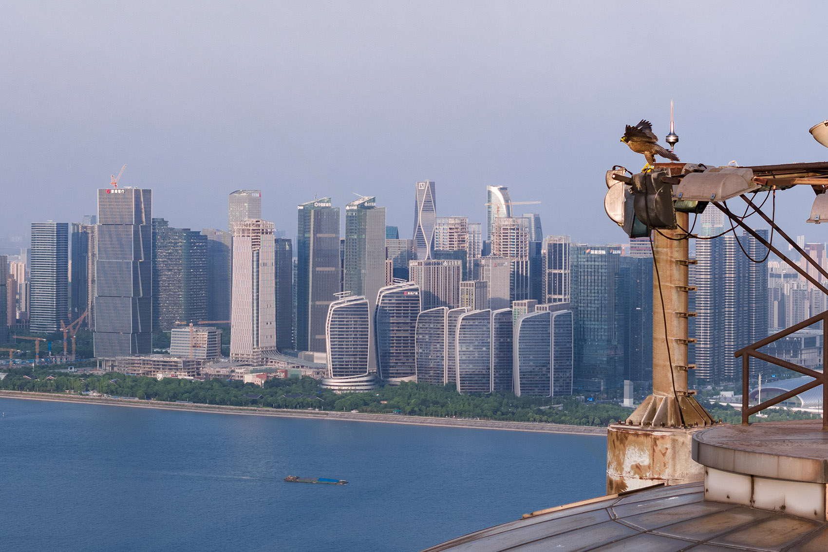 观雲钱塘城丨中国杭州丨Aedas-52