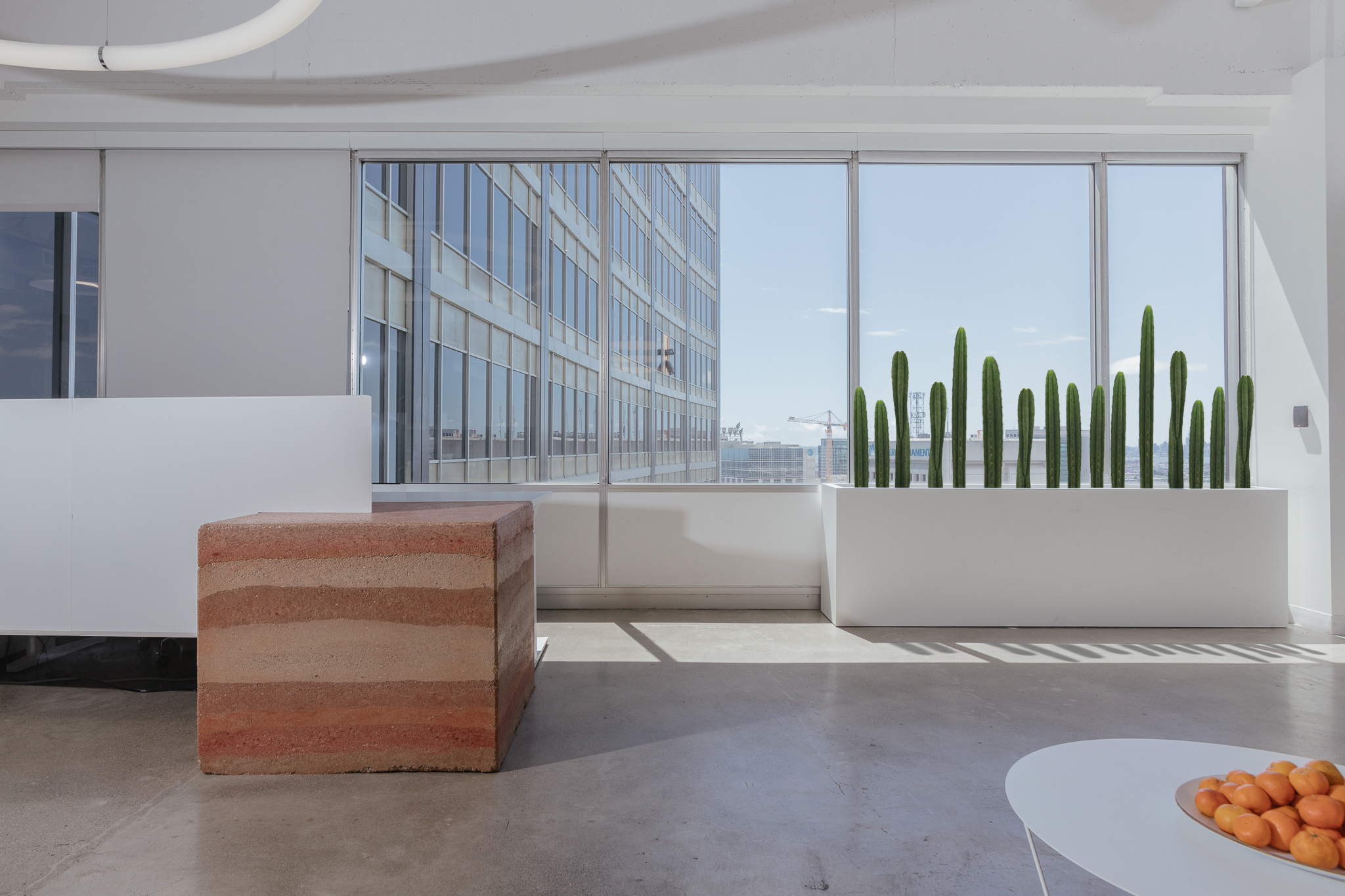 把自然搬进办公室-1