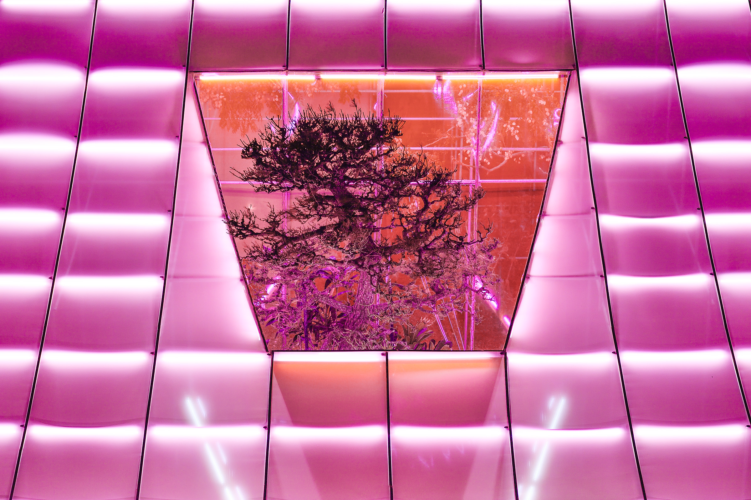 走桃花 RUNNING TAOYUAN丨格式设计展策-0