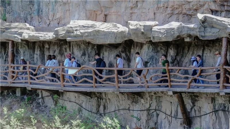 《与磊同行》的自然之旅-17