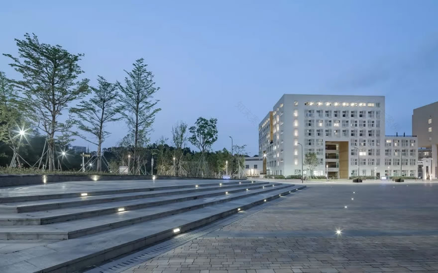 香港中文大学(深圳)思廷学院丨中国深圳-59