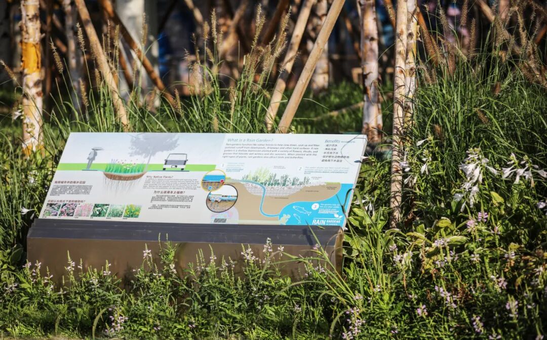 转角遇见暖意，冰城的一抹新绿 万科鲸鱼悦府丨中国哈尔滨丨ZAP ASSOCIATES-50