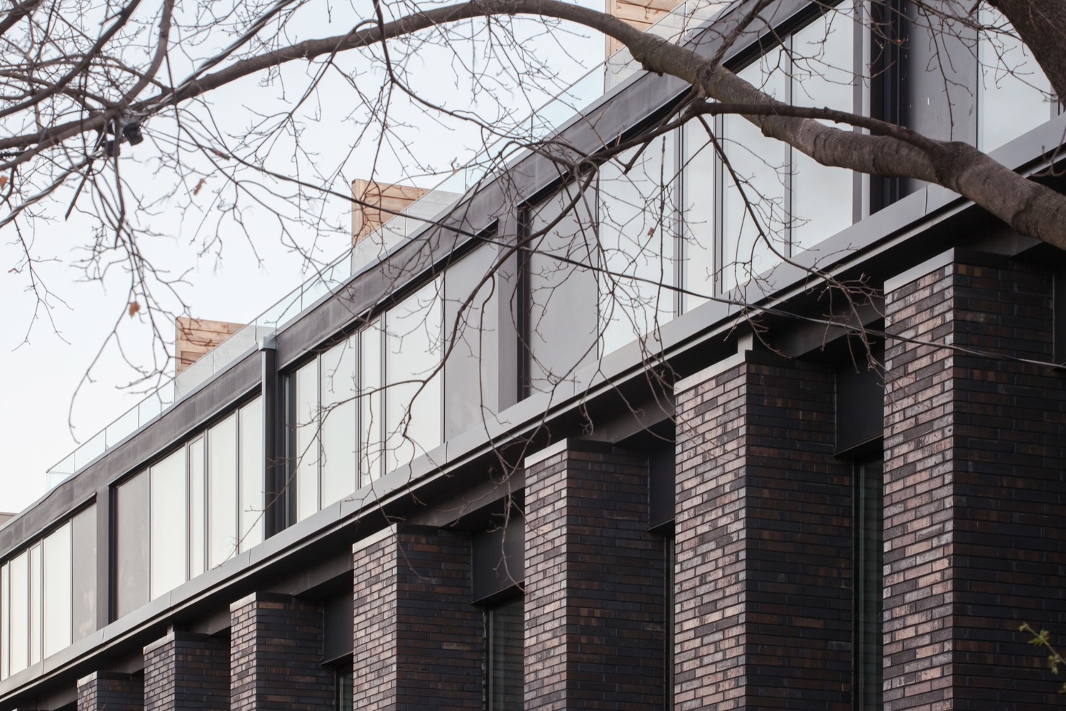 多伦多 Riverdale 联排别墅 | 现代与传统的和谐共生-25