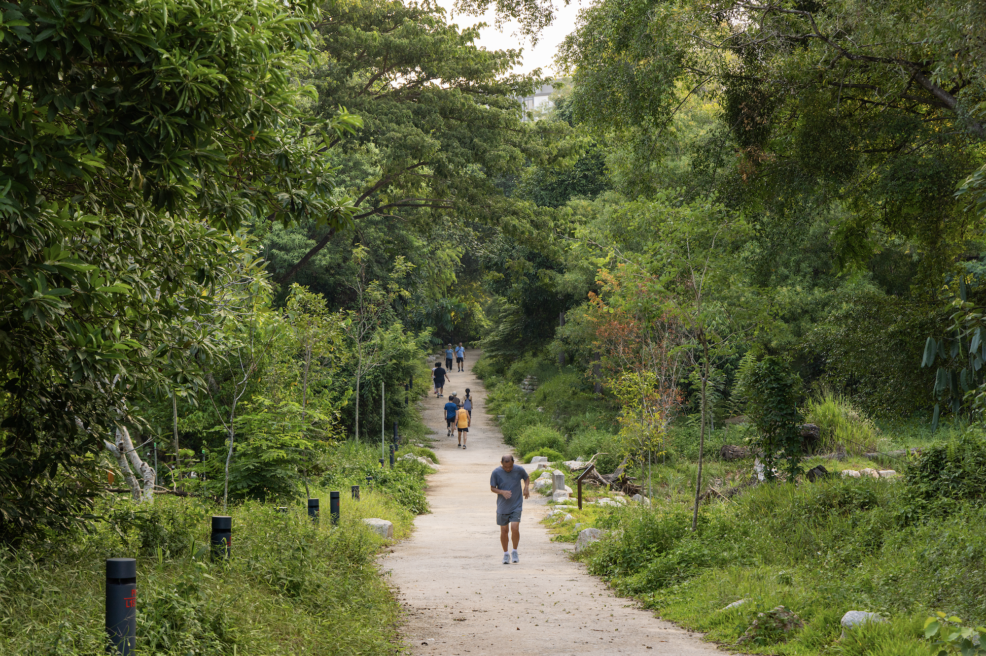 比达达利公园丨新加坡-5