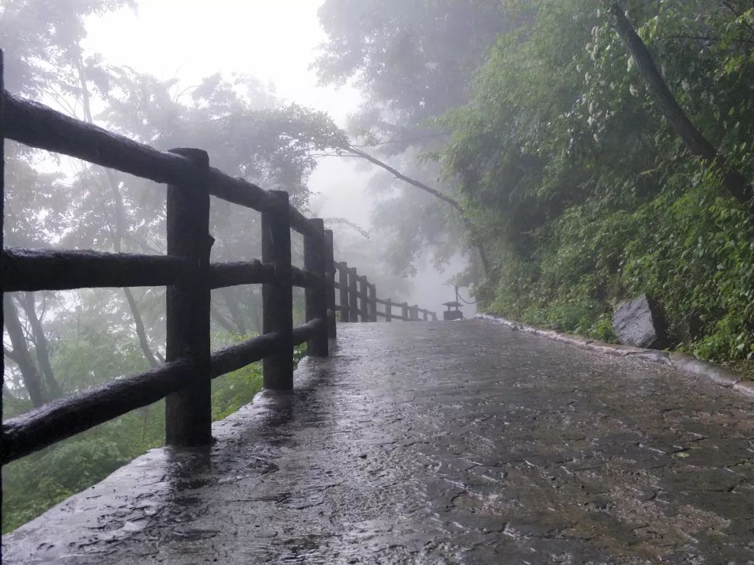 随性而洒脱的设计人生 | 乔继红访谈录-16