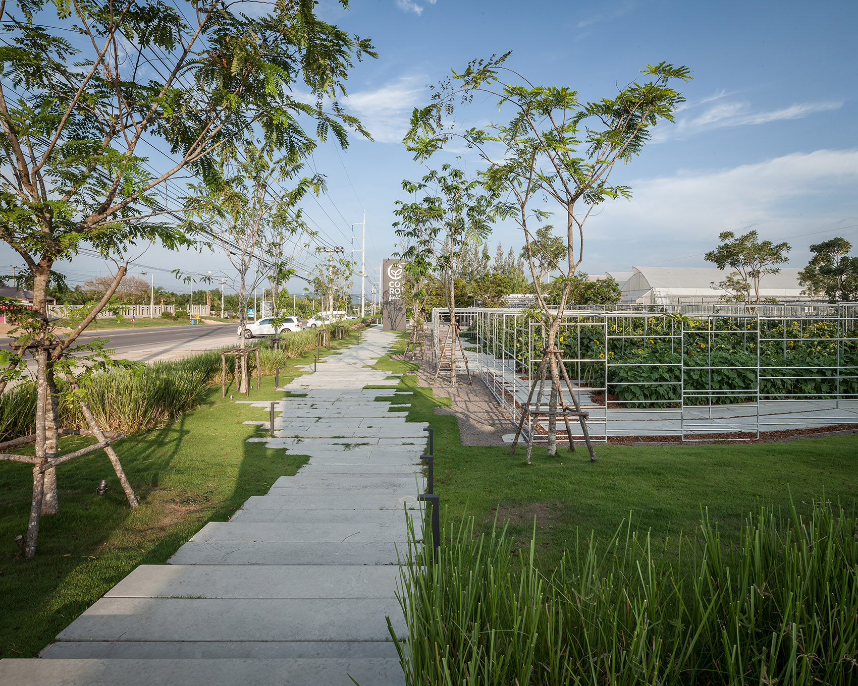 都市农场，泰国 / Integrated Field Co.,Ltd.-60