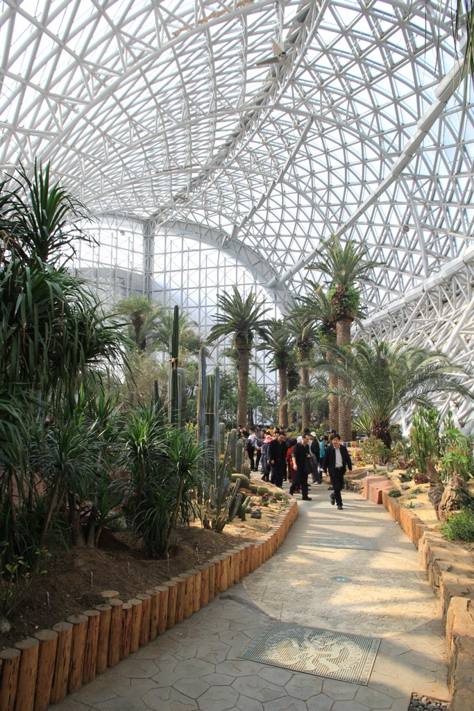 2014青岛世界园艺博览会青岛玻璃屋景观园艺项目丨中国青岛丨Weddle Landscape Design-7