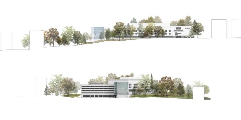 日内瓦自然历史博物馆丨Switzerland-14