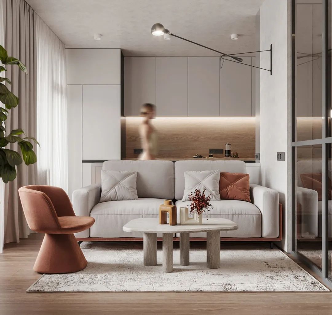 44㎡小宅设计丨Dmitry Shevchenko-0