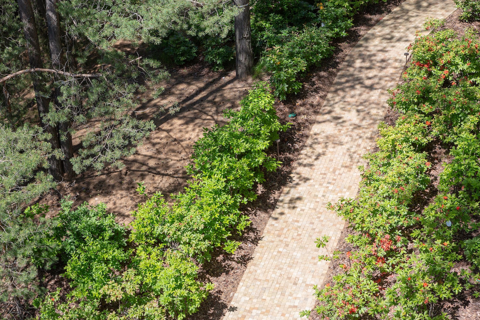 莫斯科北部童话森林湖景-21