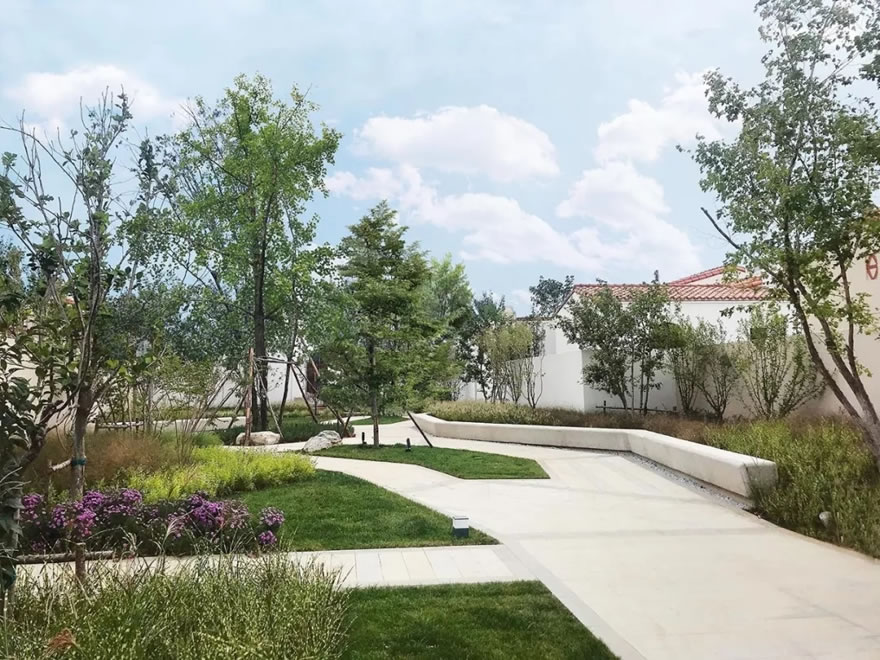 秦皇岛阿那亚度假区D4项目-52