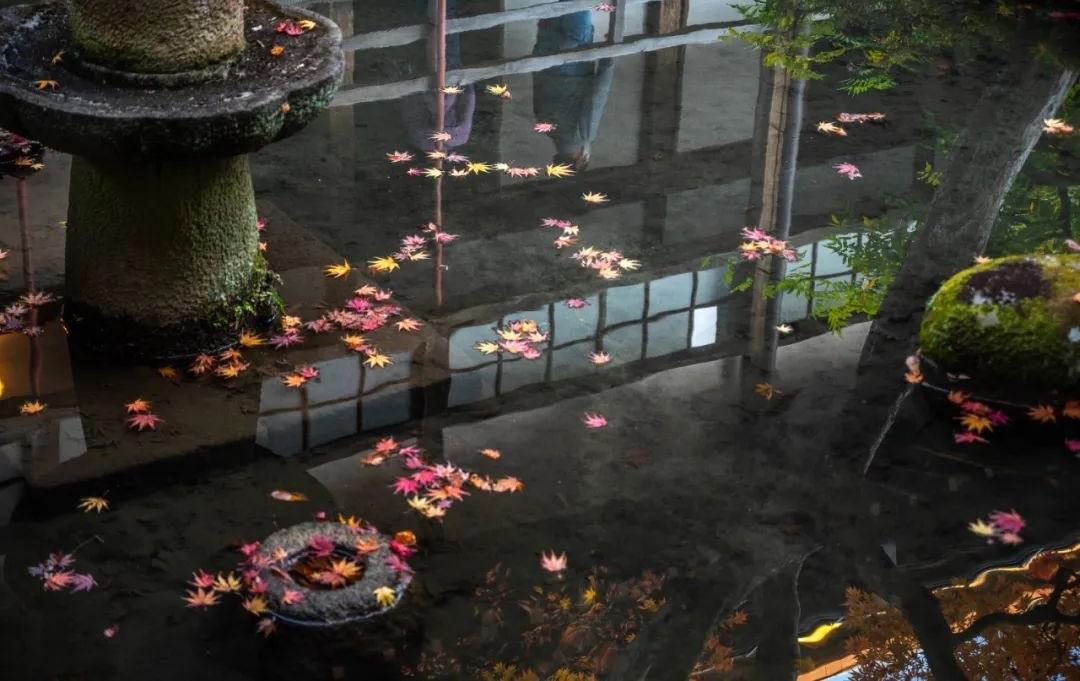 梦窗疏石·禅庭闲寂丨日本-59