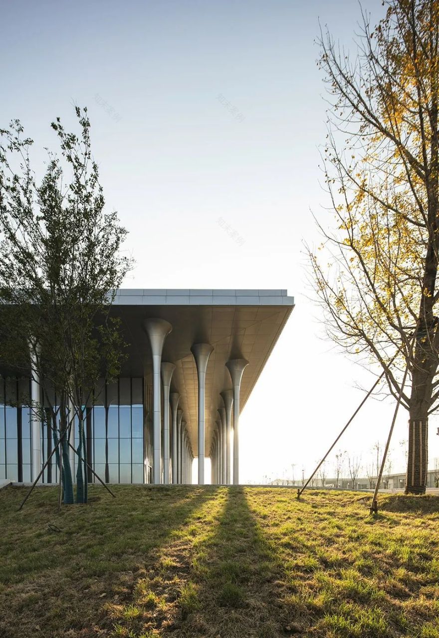 邹城市蘑菇展览馆丨同圆设计集团股份有限公司-27