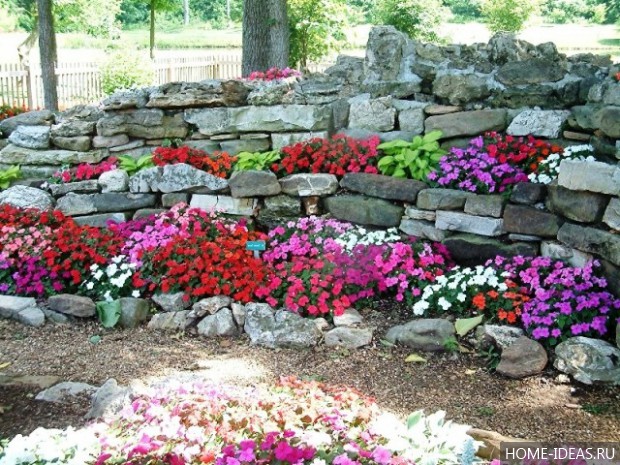 自制阿尔卑斯式假山（阿尔卑斯式花坛）-127