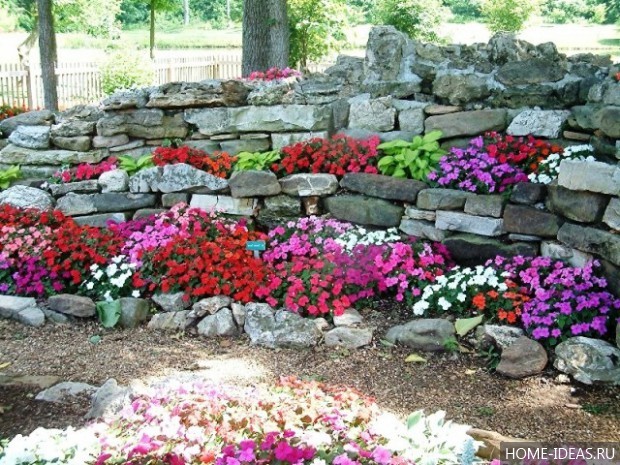 自制阿尔卑斯式假山(阿尔卑斯式花坛)-127