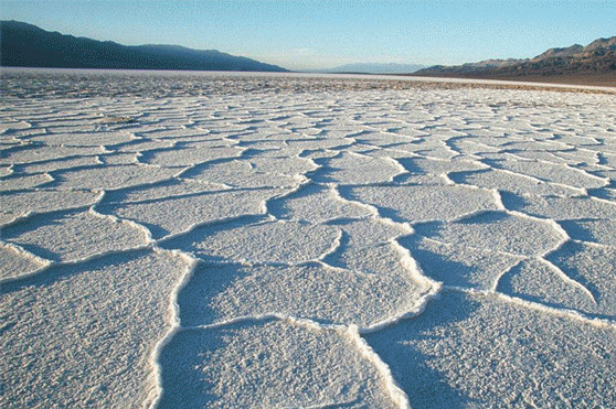 盐运九曲,八里秦淮 | 绿地西南 • 自贡-73