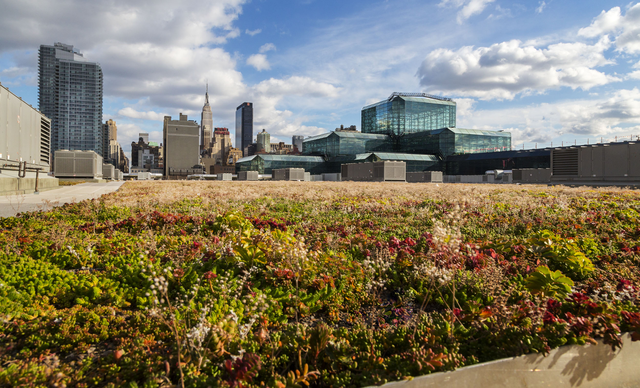 纽约 Jacob K. Javits 会展中心扩建与翻新-11