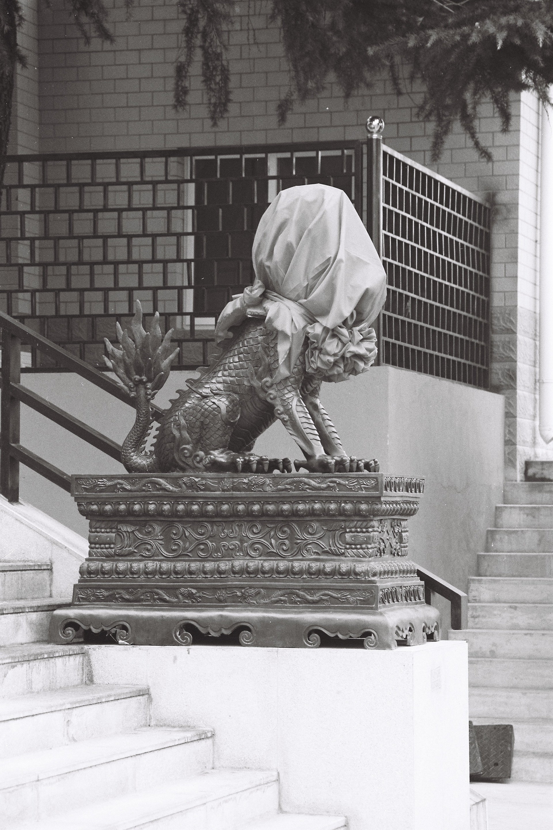 北京照片报道丨中国北京-19