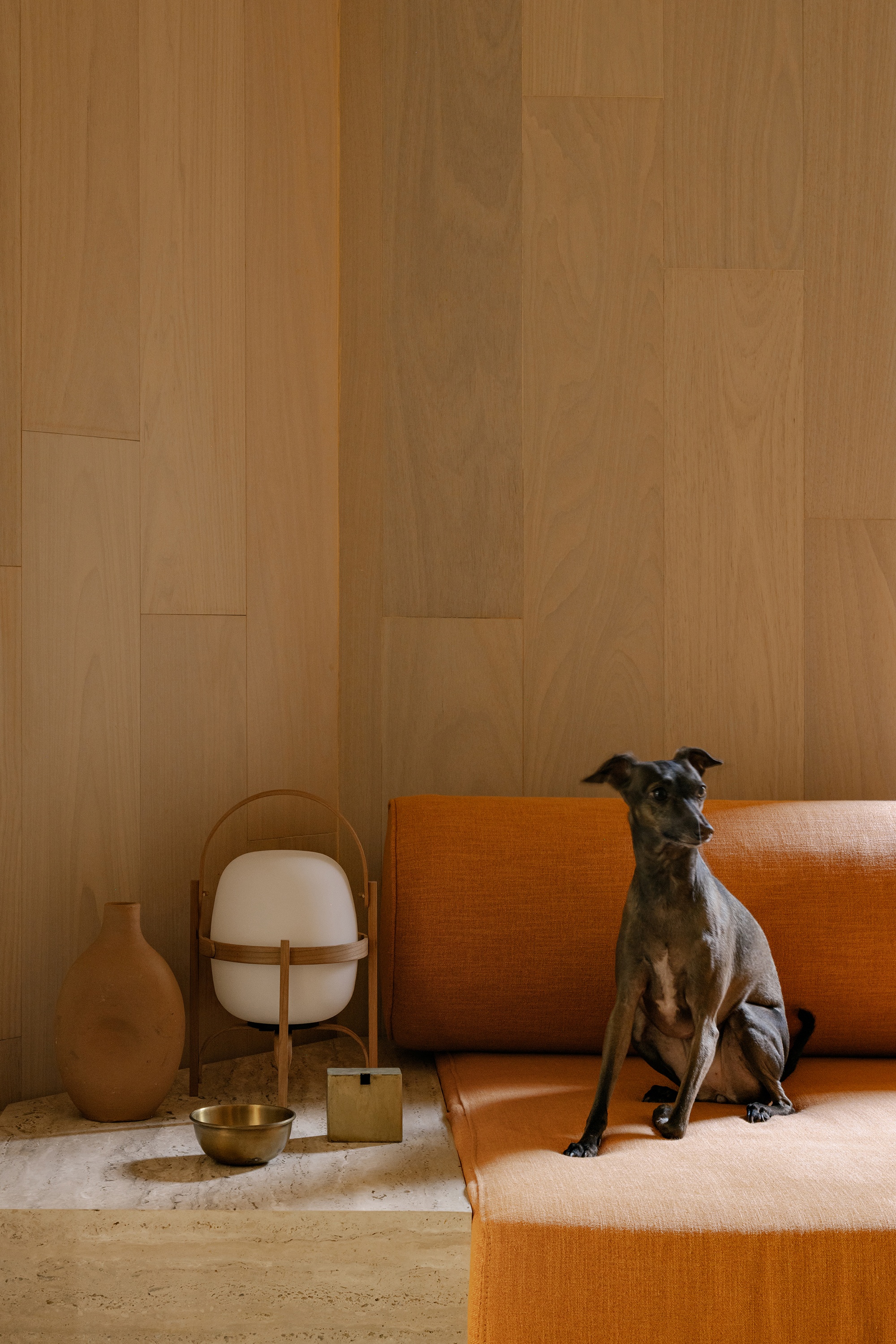 Matisse 公寓丨巴西圣保罗丨巴西事务所 Gurgel D’Alfonso Arquitetura-21